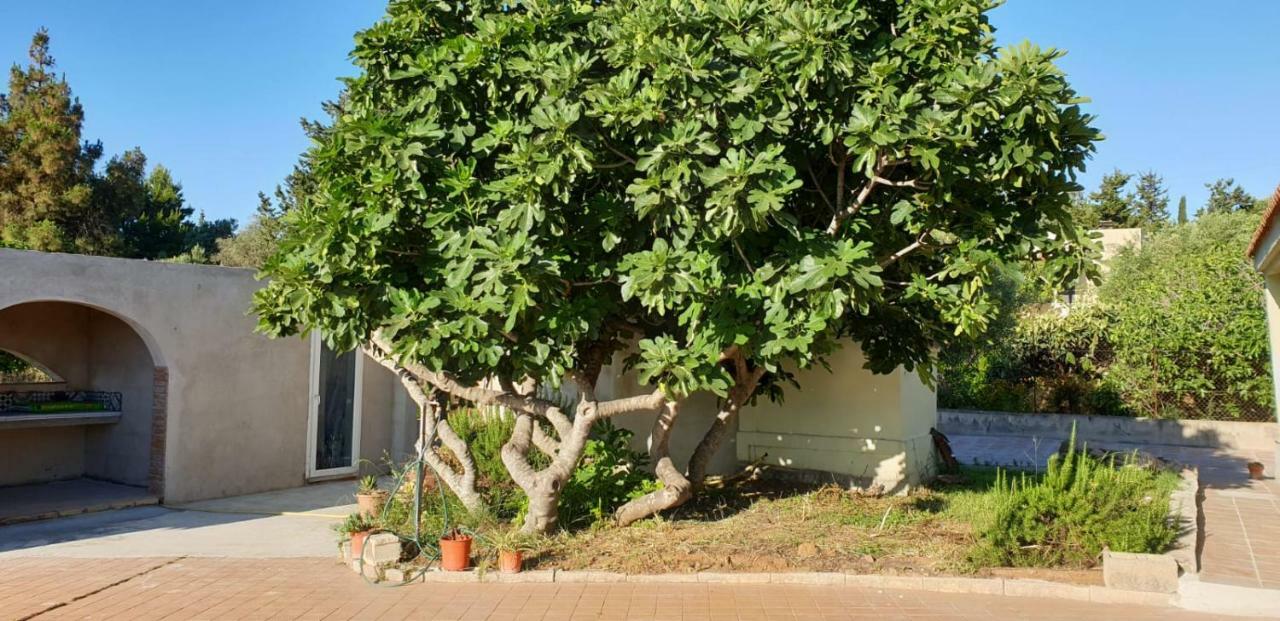 Villa Renzo E Lucia Sant Isidoro  エクステリア 写真